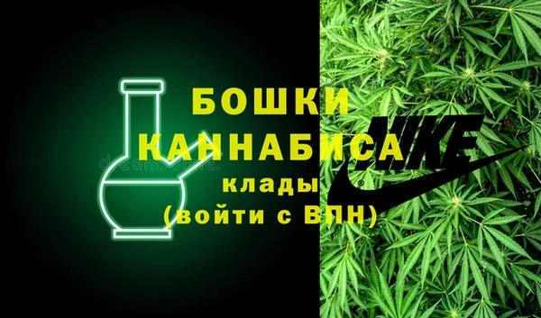 крисы Белокуриха