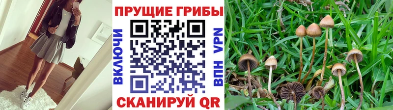 Галлюциногенные грибы ЛСД  Ижевск 
